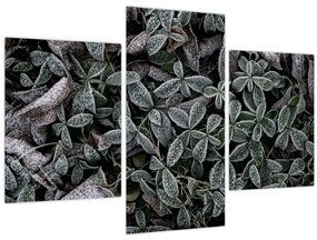 Tablou - Plante înghețate (90x60 cm)