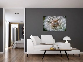 Tablou cu păpădie (90x60 cm)