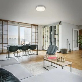 Plafonieră LED FLAME LED/16W/230V argintiu Briloner 7065-014