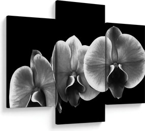 Tablou floare de orhidee (90x60 cm)