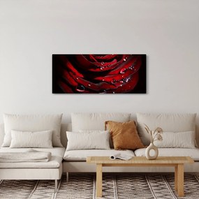 Tablou - Trandafir (120x50 cm)