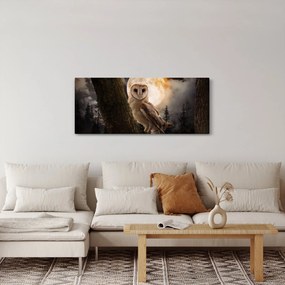 Tablou cu bufnița (120x50 cm)