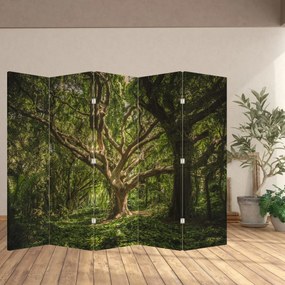 Paravan - Copaci (210x170 cm)