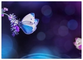 Tablou pe sticlă - Flutute în lavandă (70x50 cm)