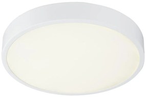 Globo 12364-30 - LED Lampă dimmabilă baie LED/28W/230V IP44