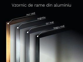 Oglindă cu ramă B8