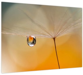 Tablou - Flori macro (70x50 cm)