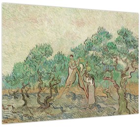 Tablou pe sticlă - Vincent van Gogh, The Olive Orchard, reproducere (70x50 cm)