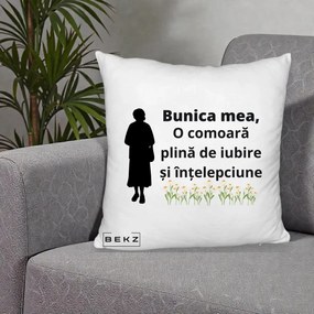 Cadou pentru Bunica - Perna Personalizata Bunica Mea Comoara Iubire Intelepciune Silueta cu Nepoata, 40x40 cm, Alb Pufos, Husa Detasabila, Perna Inclusa, BEKZ®