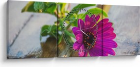 Tablou flori tăiate (cu ceas) (90x30 cm)