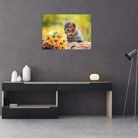 Tablou pe sticlă cu pisicuța uitându-se la floare (70x50 cm)