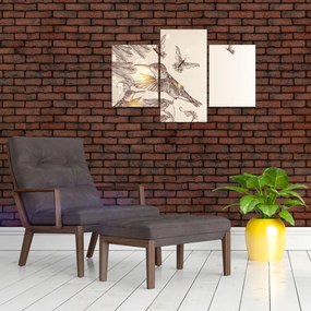 Tablou - Colibri (90x60 cm)