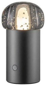 Corp de iluminat pentru exterior LED portabil cu intensitate reglabilă cu USB ø 10 cm Iris – Blomus