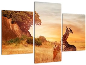Tablou Girafe în Africa (90x60 cm)