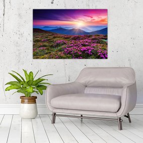 Tablou - Munte înflorit peisaj (90x60 cm)