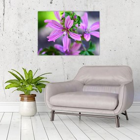 Tablou pe sticlă cu floarea detailat (70x50 cm)