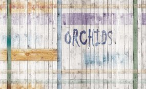 Fototapet - Orhidee (152,5x104 cm)