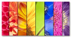 Tablou acrilic Flori colorate