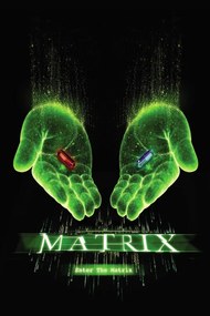 Poster de artă Matrix - Choose your path, (26.7 x 40 cm)