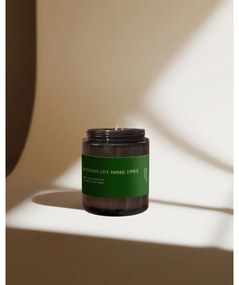 Lumânare parfumată din ceară de soia #80 Tomato Leaf, Cypress, Fern – Perfumed Prague