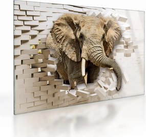 Tablou pe sticlă - Elefant spârgând peretele (70x50 cm)
