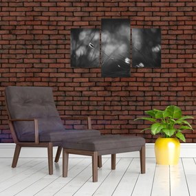 Tablou - Iarbă de pajiște (90x60 cm)