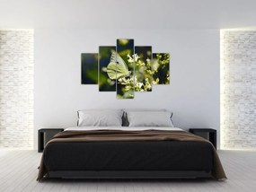 Tablou cu fluture (150x105 cm)