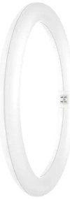 Tub LED fluorescent Osram G10q/18,3W/230V 6500K