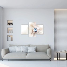 Tablou - Pisicuță (90x60 cm)