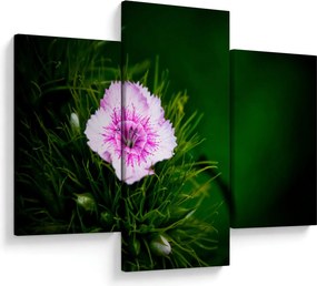 Tablou cu floare roz (90x60 cm)