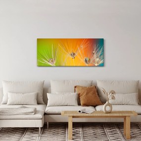 Tablou cu picături pe plantă (120x50 cm)