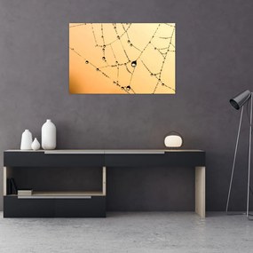 Tablou cu pânză de pâianjen cu rouă (90x60 cm)