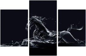 Tablou - Cal și apă (90x60 cm)