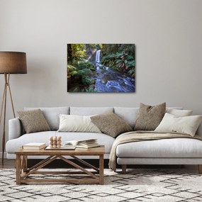 Tablou cu pădurea ploilor din Austalia (70x50 cm)