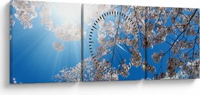 Tablou - Flori de cireș (cu ceas) (90x30 cm)