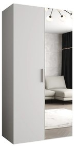 Dulap de haine 100 cm Borry 2 (alb + Argintiu). 1125803
