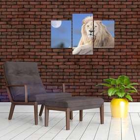 Tablou - Leu alb (90x60 cm)