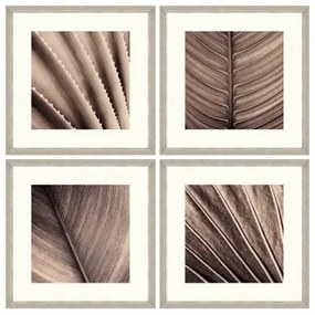 Tablou 4 piese Framed Art Sepia Palm Texture