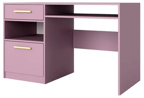 Masă pentru tineret Nolan II (Prun + Prun + Auriu). 1059655