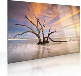 Tablou pe sticlă - Copacul în ocean (70x50 cm)