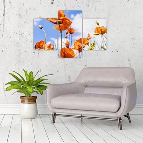 Tablou cu macii (90x60 cm)