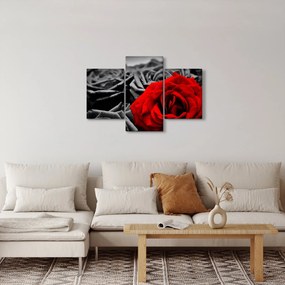 Tablou - Flori de trandafir (90x60 cm)