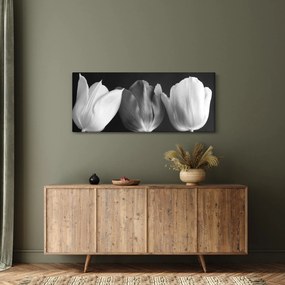 Tablou - Lalele alb negre (120x50 cm)