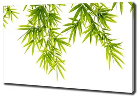 Tablouri tipărite pe pânză Frunze de bambus