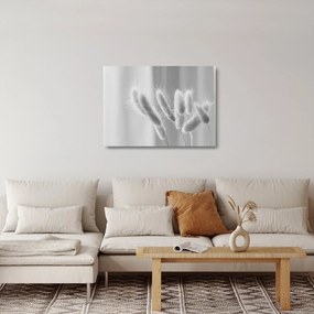 Tablou pe sticlă - Iarbă de coadă de iepure (70x50 cm)