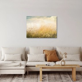 Tablou - Câmp toamna (70x50 cm)