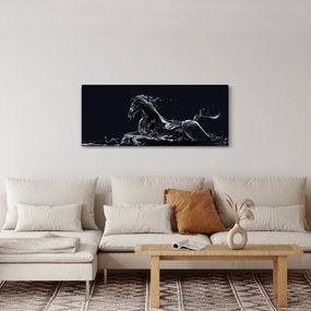 Tablou - Cal și apă (120x50 cm)