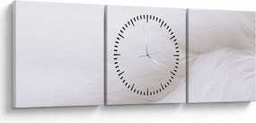 Tablou - Pană albă (cu ceas) (90x30 cm)