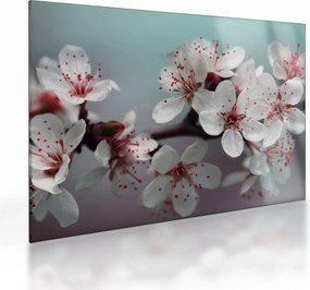Tablou pe sticlă cu floare - roșie (70x50 cm)
