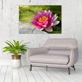 Tablou - Lotus (90x60 cm)